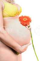 Belly of a pregnant young woman with flower