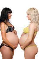 Pregnant blonde and brunette. Isolated
