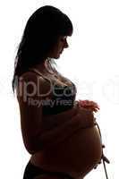 Pregnant young brunette with flower. Isolated
