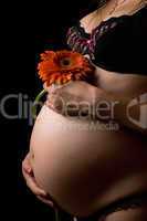 Belly of a pregnant woman with flower. Isolated