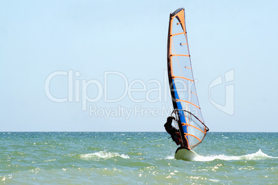 windsurfer on the sea surface