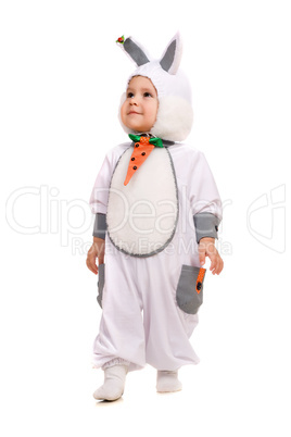 Little boy dressed as bunny. Isolated