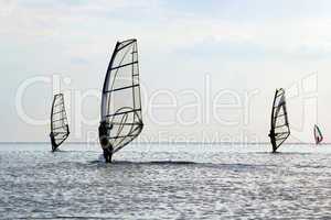 Silhouettes of a four windsurfers