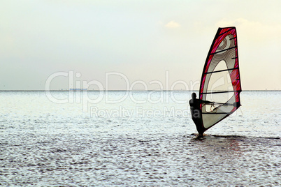 Man windsurfer