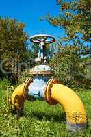Gas pipe with a valve on a green lawn