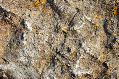 Stone surface rarely with lichen