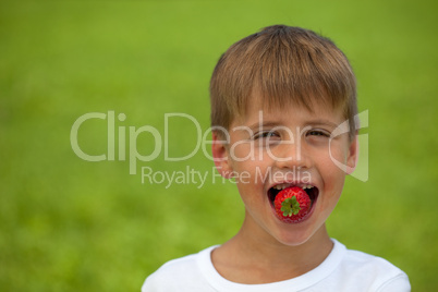 Junge isst eine Erdbeere