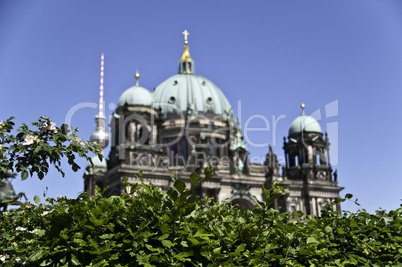 Berliner dom