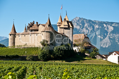 Aigle castle