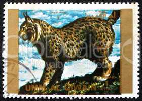 Postage stamp Umm al-Quwain 1972 Lynx, Animal