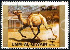 Postage stamp Umm al-Quwain 1972 Camel, Animal