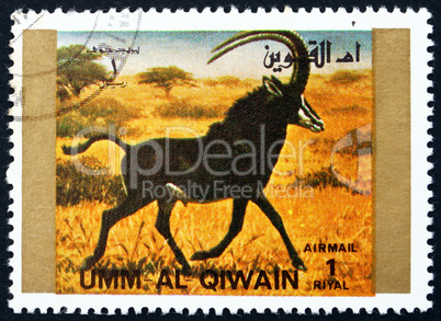 Postage stamp Umm al-Quwain 1972 Tiger, Animal