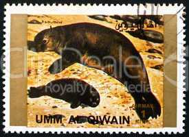 Postage stamp Umm al-Quwain 1972 Seal, Animal