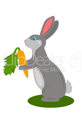 Rabbit With Carrot