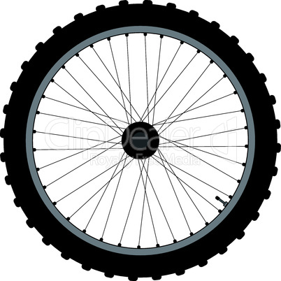 Bicycle Wheel