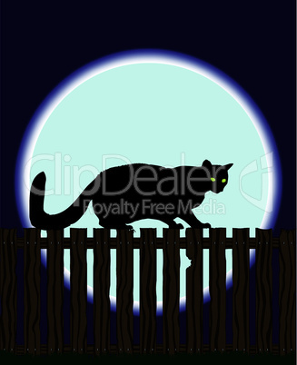 Cat on a Fence