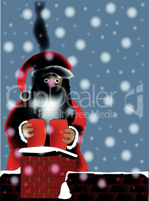 Sooty Santa.