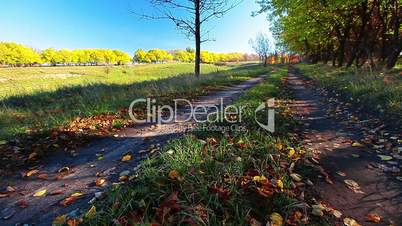 autumn road