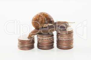 Snail on the coins - slow economy concept