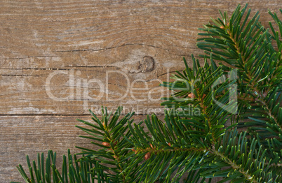 fir and wood