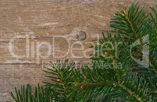 fir and wood