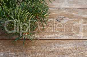 fir and wood