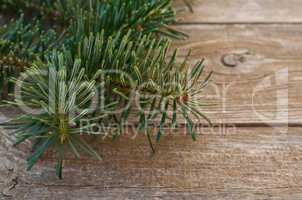 fir and wood