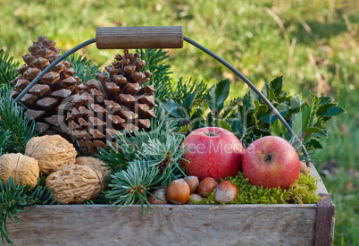 winter fruits