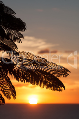 Dickenson Bay, Antigua