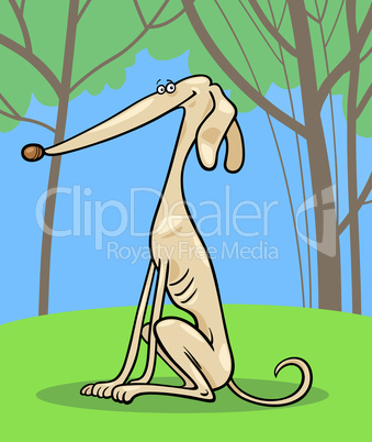 greyhound dog cartoon illustration