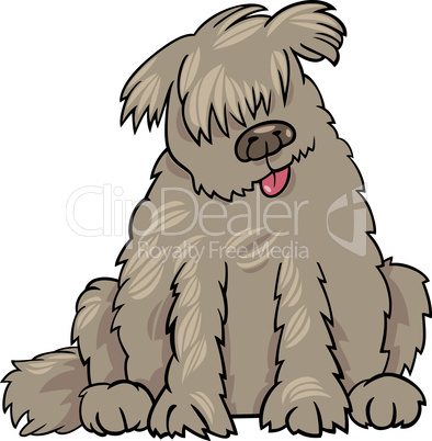 newfoundland dog cartoon illustration