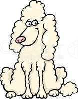 poodle dog cartoon illustration