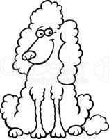 poodle dog cartoon for coloring book