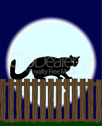 Cat on a Fence