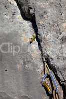 Sand lizard on rock and climbing equipment