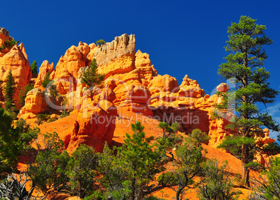 Rock formation in red canyon park in Utah.