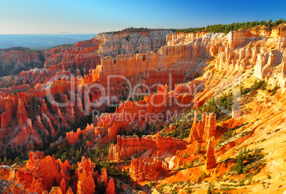 Bryce Canyon panorama