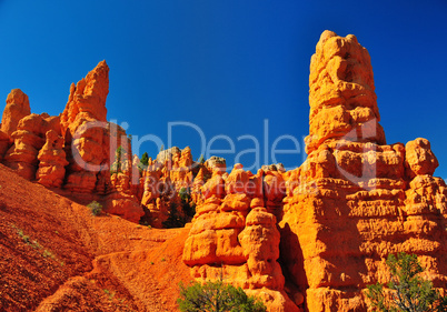 Rock formations in red canyon park in Utah.