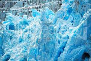 Deep blue glacier ice with a bald eagle.