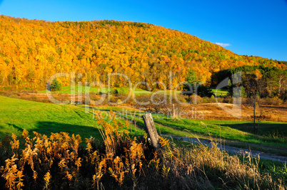 Peak Fall Foliage in Vermont