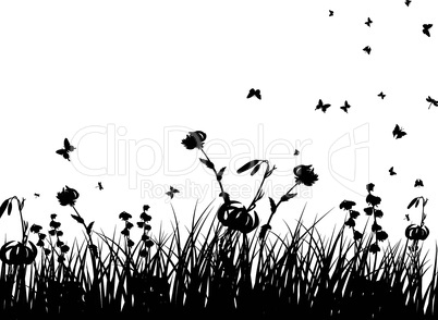 Meadow And Butterflies