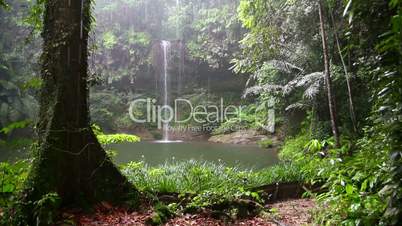 Waterfall at borneo rainforest