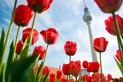 TV Tower, Berlin