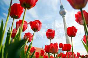 TV Tower, Berlin