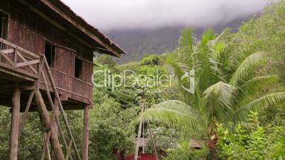 Tribal borneo houses