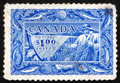 Postage stamp Canada 1951 Fishing, Fish Resources
