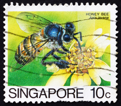 Postage stamp Singapore 1985 Honey Bee Collecting Nectar