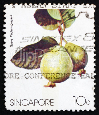 Postage stamp Singapore 1986 Guava Fruit, Psidium Guajava
