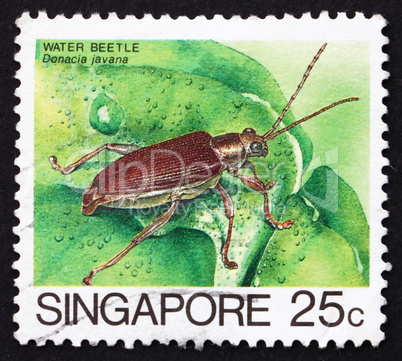 Postage stamp Singapore 1985 Water Beetle, Donacia Javana