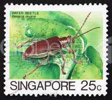 Postage stamp Singapore 1985 Water Beetle, Donacia Javana